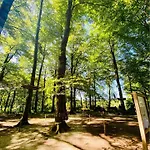 L'etape En Foret * Saint-Sever-Calvados