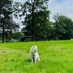 Lodge L'etape En Foret Saint-Sever-Calvados