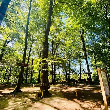 L'etape En Foret * Saint-Sever-Calvados
