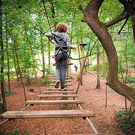 L'etape En Foret Chata *