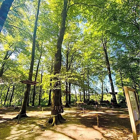 L'etape En Foret Lodge Saint-Sever-Calvados