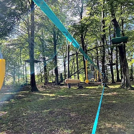 L'etape En Foret