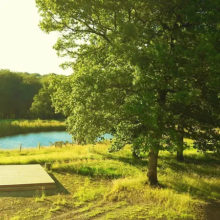 L'etape En Foret بيت خشبي