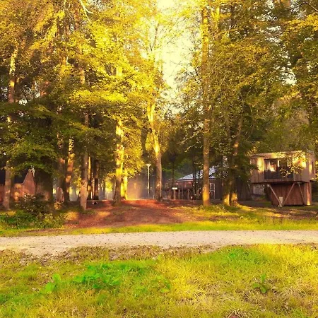 L'etape En Foret بيت خشبي Saint-Sever-Calvados