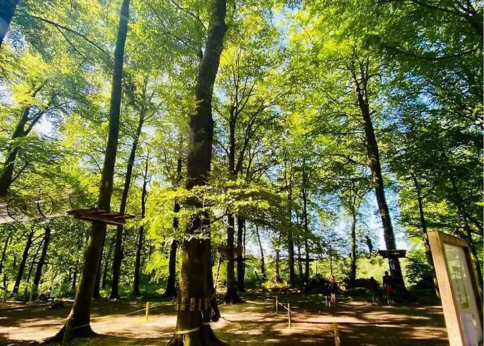 L'etape En Foret * Saint-Sever-Calvados