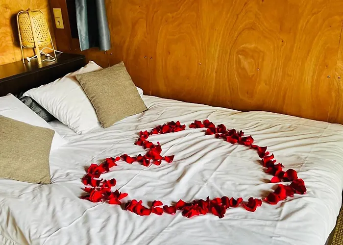 אכסניה L'etape En Foret