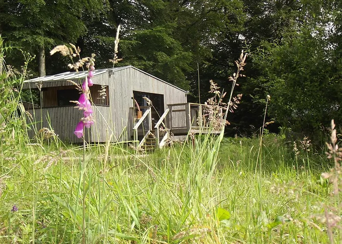 L'etape En Foret אכסניה Saint-Sever-Calvados