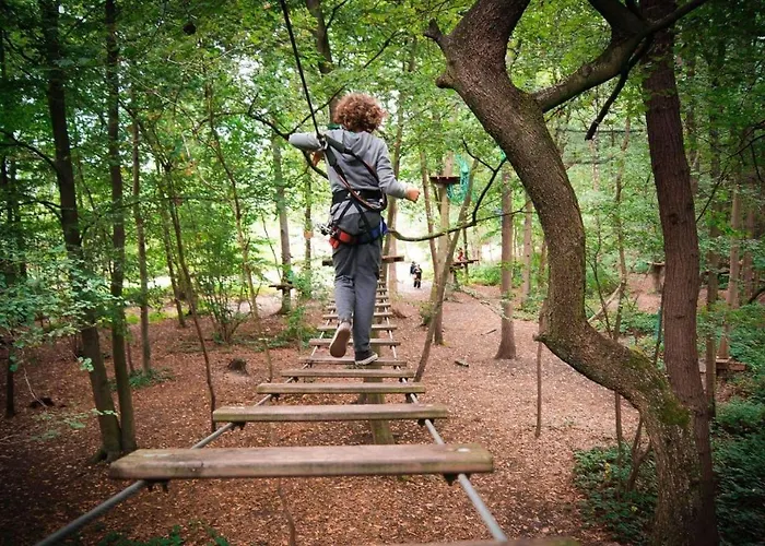 L'etape En Foret אכסניה