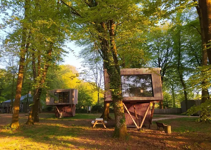 L'etape En Foret אכסניה *